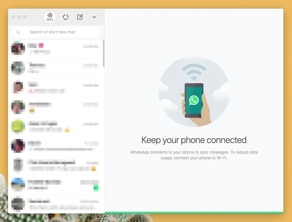 whatsapp web desktop not showing